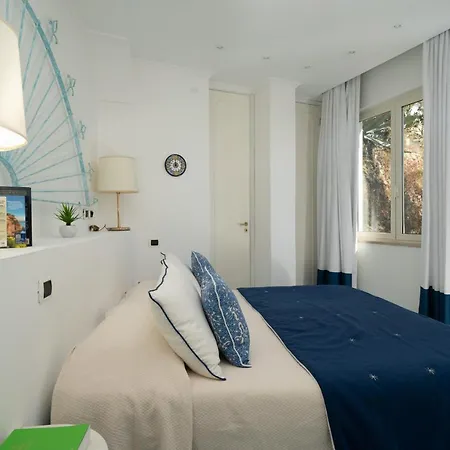 Vila Panoramic Begonia *